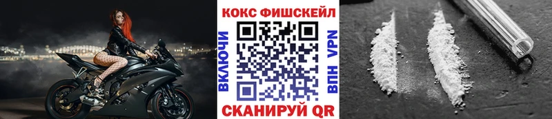 где можно купить   Бородино  COCAIN 98% 