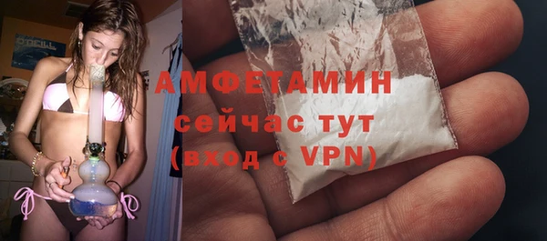 крисы Надым