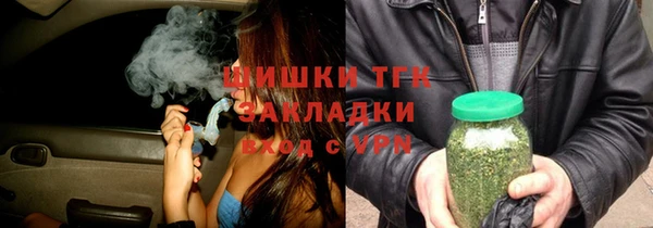 прущие грибы Аркадак