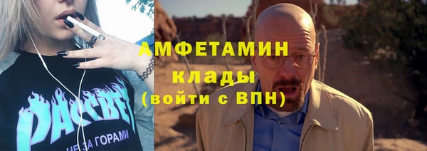 прущие грибы Аркадак
