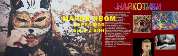 Альфа ПВП Белокуриха